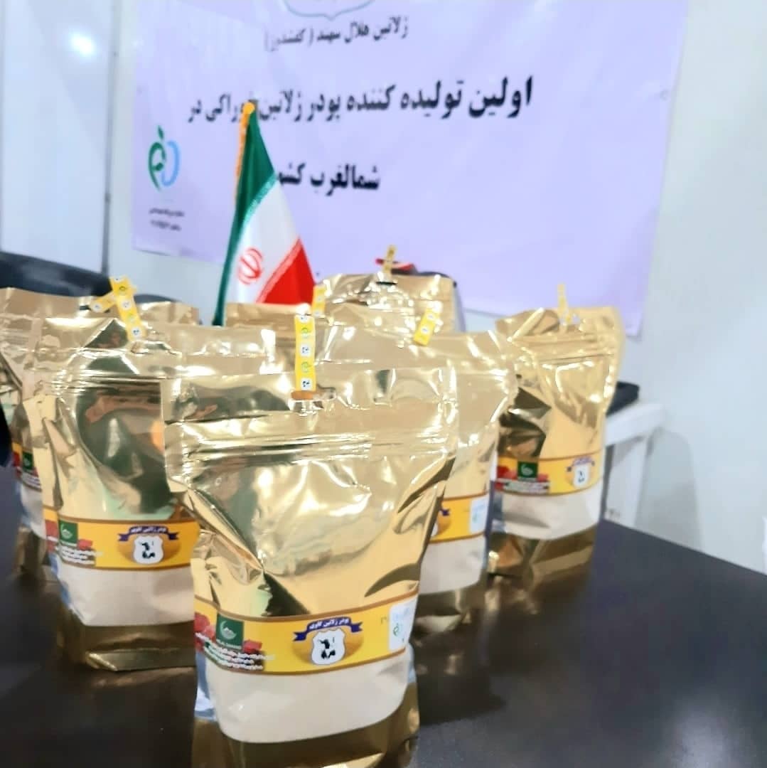 شرکت آذر آوین گستر پویا
