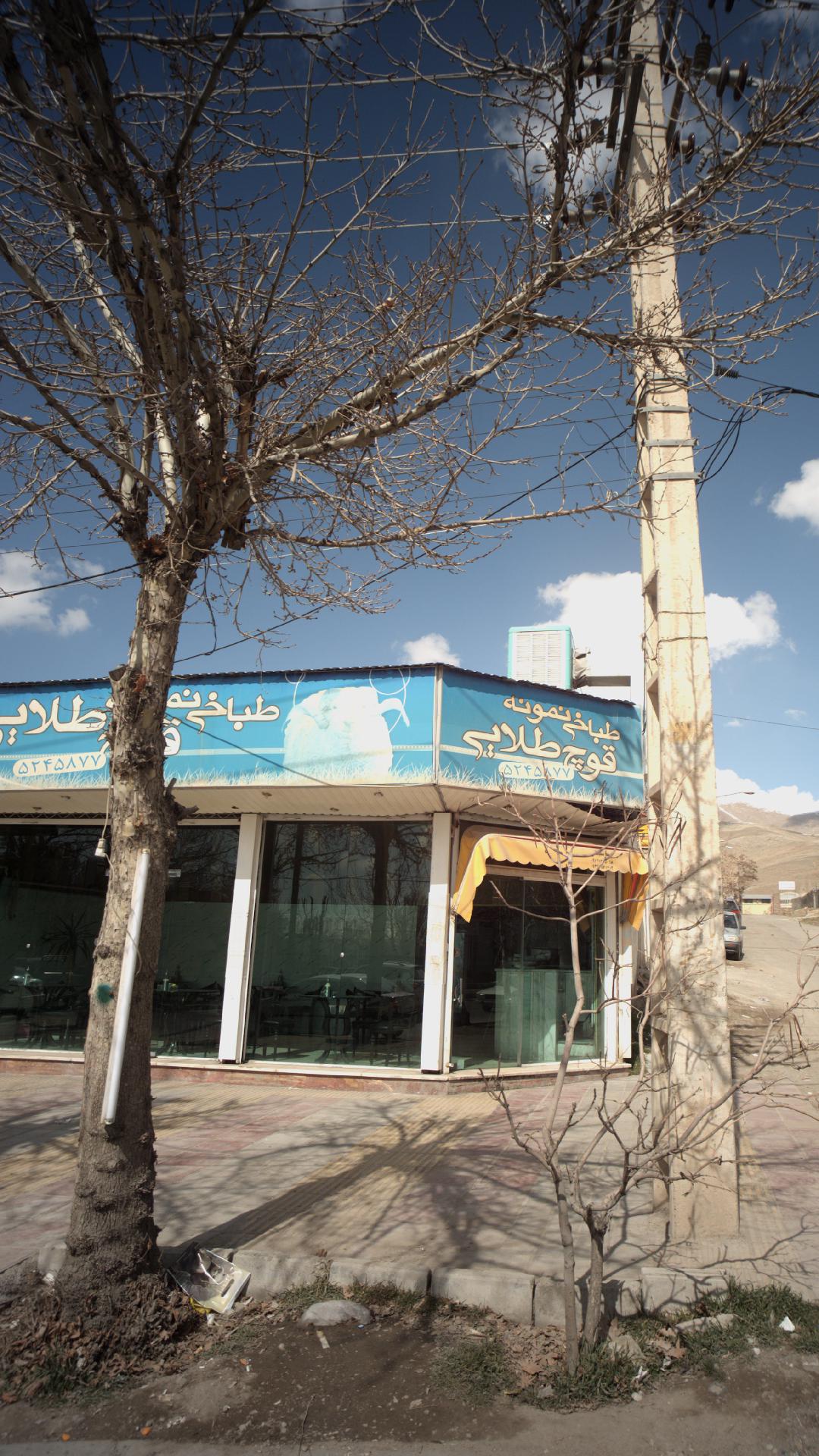 طباخی نمونه قوچ طلایی