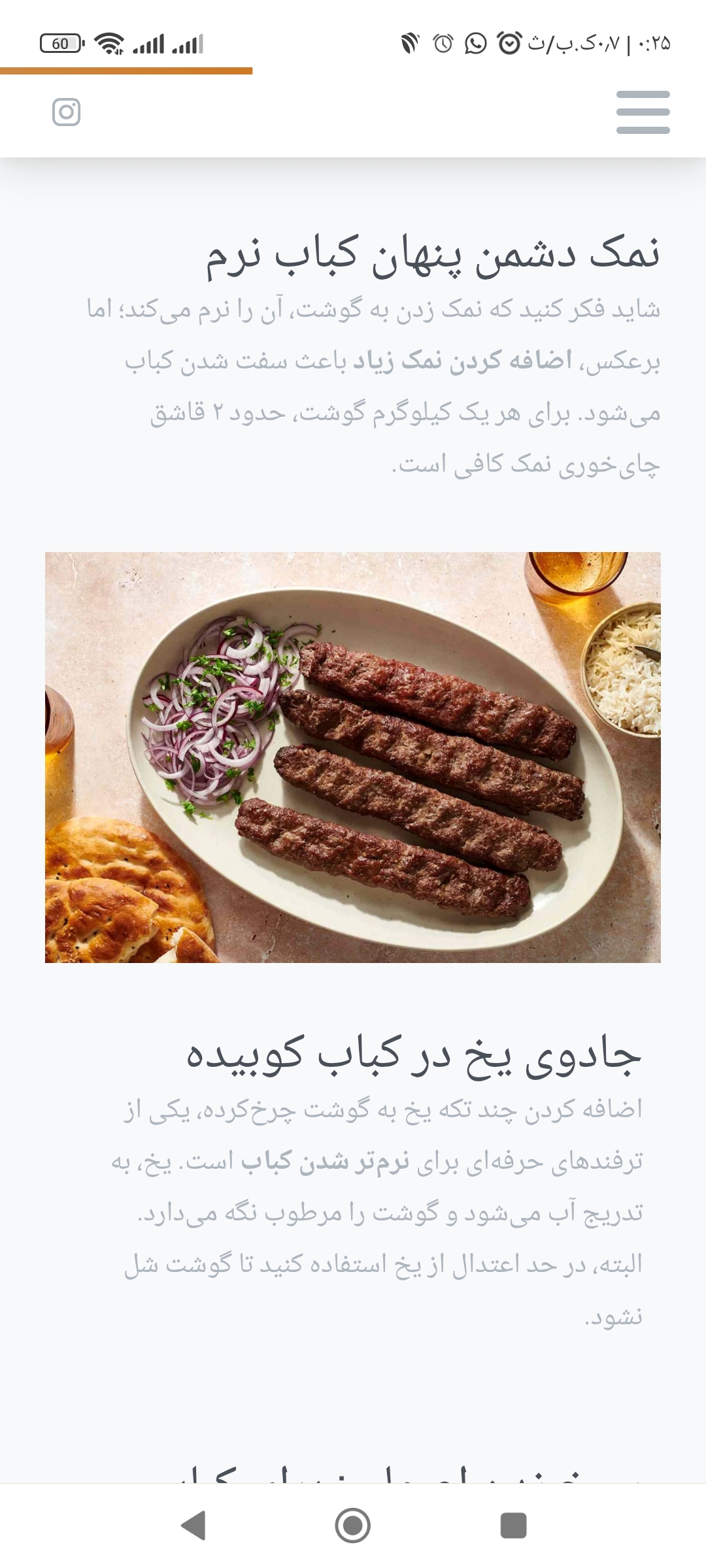 تهیه غذای امیرا (امیرمسعود سابق)