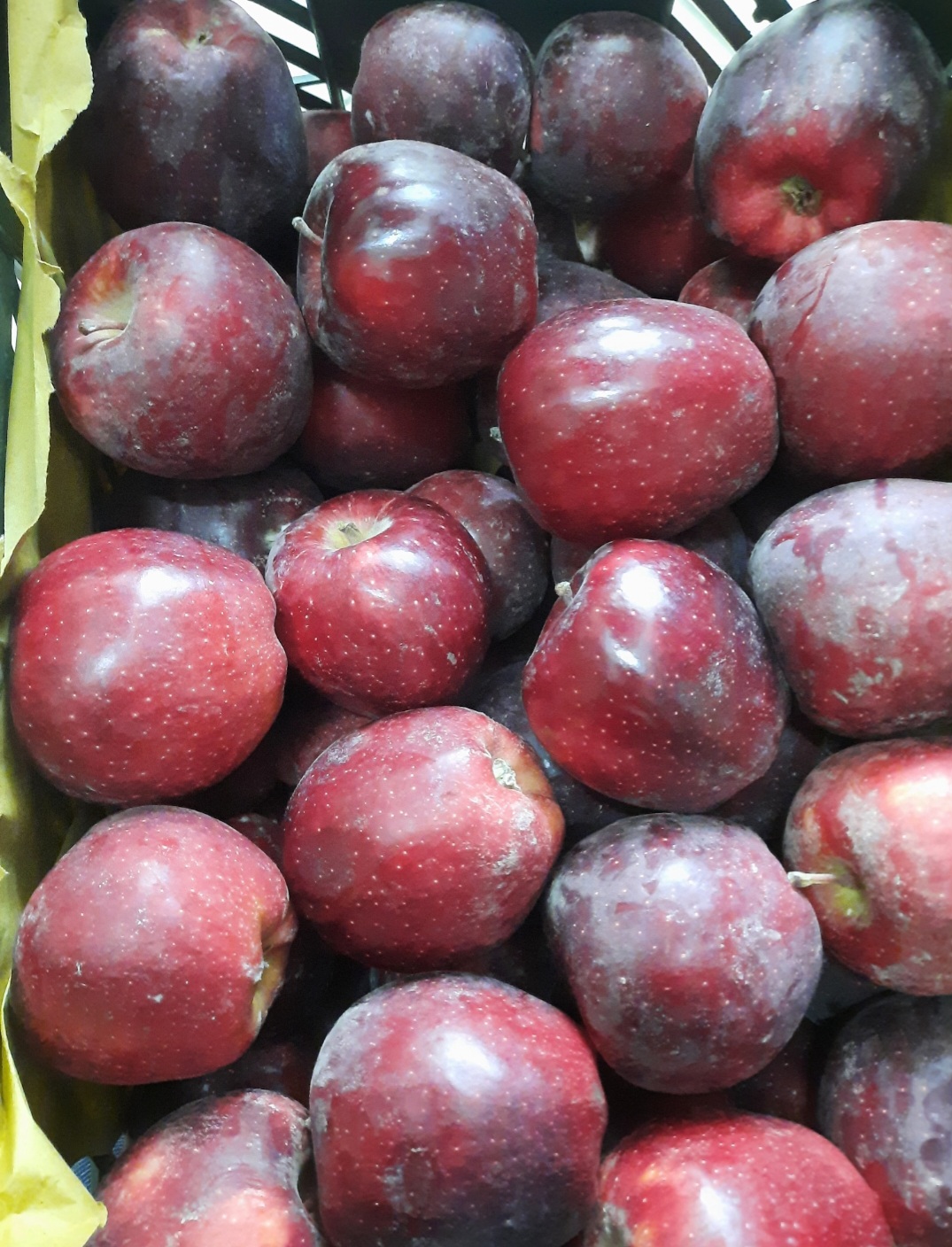 میوه فروشی پاییزان