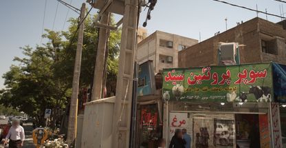 سوپر پروتئینی سید