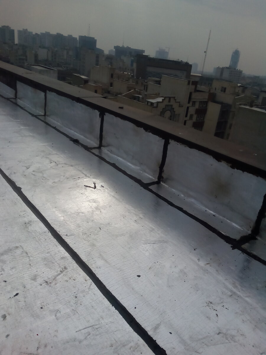 مهدی ملکی