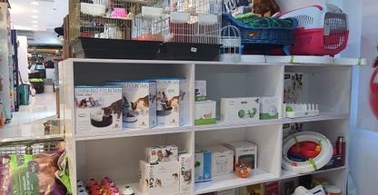 هایپر پت شاپ پت پارک