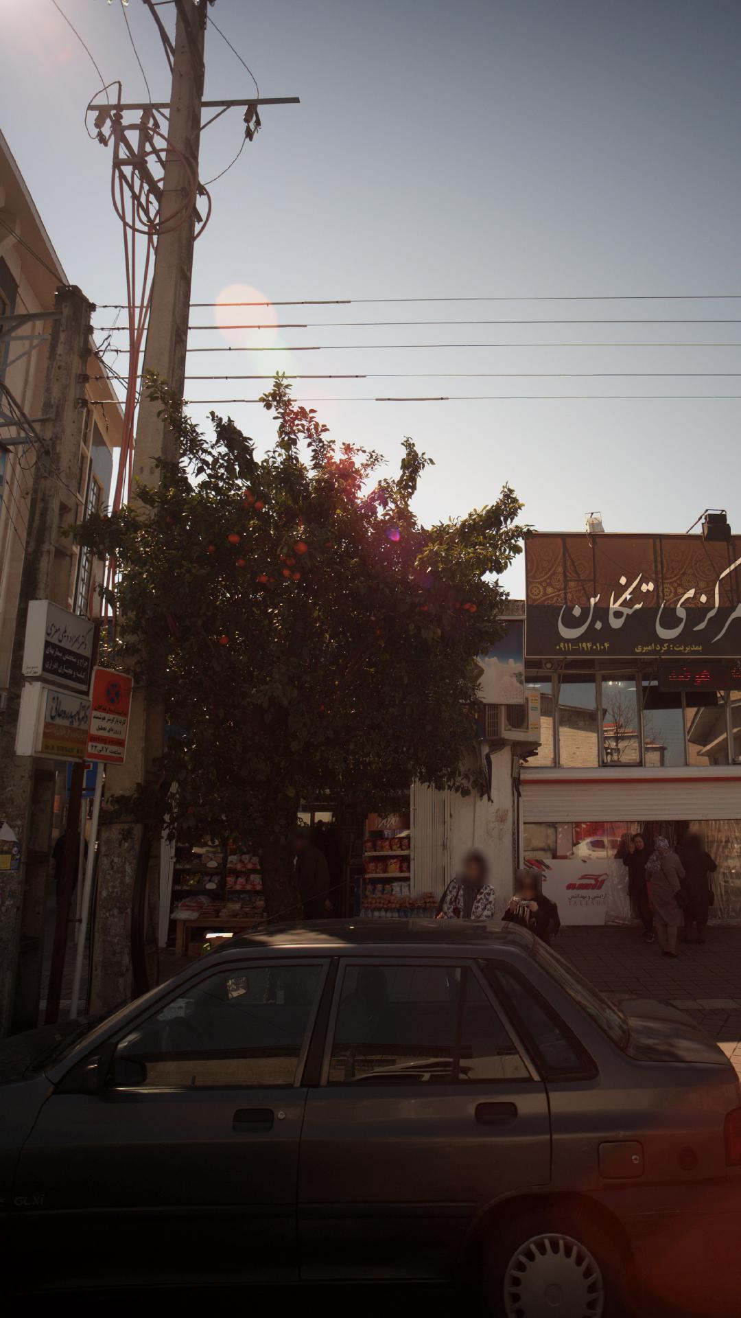 دکتر بهزاد دیلمی معزی