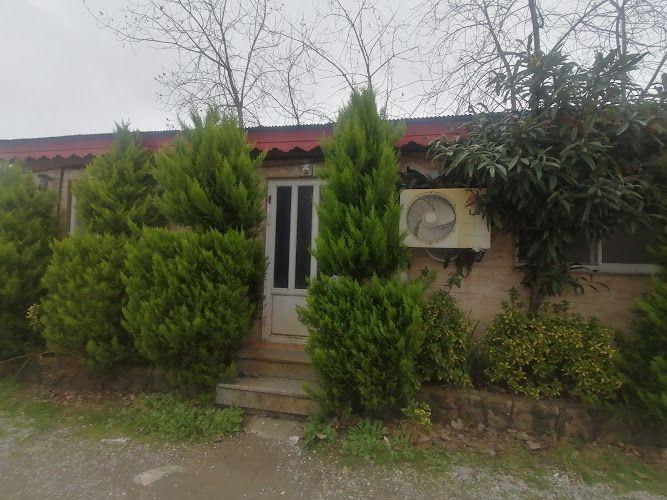 سوئیت وویلای قربانی