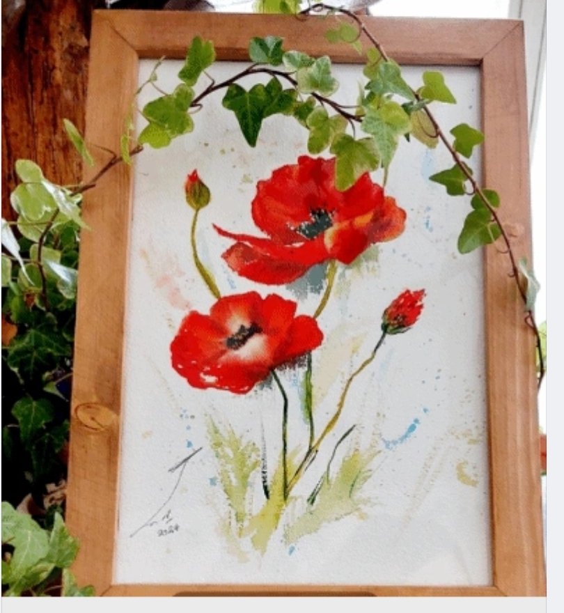 وکالت فرناز شعیعی