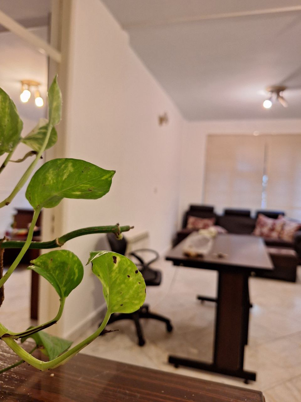 مرکز ترک اعتیاد سپاهان