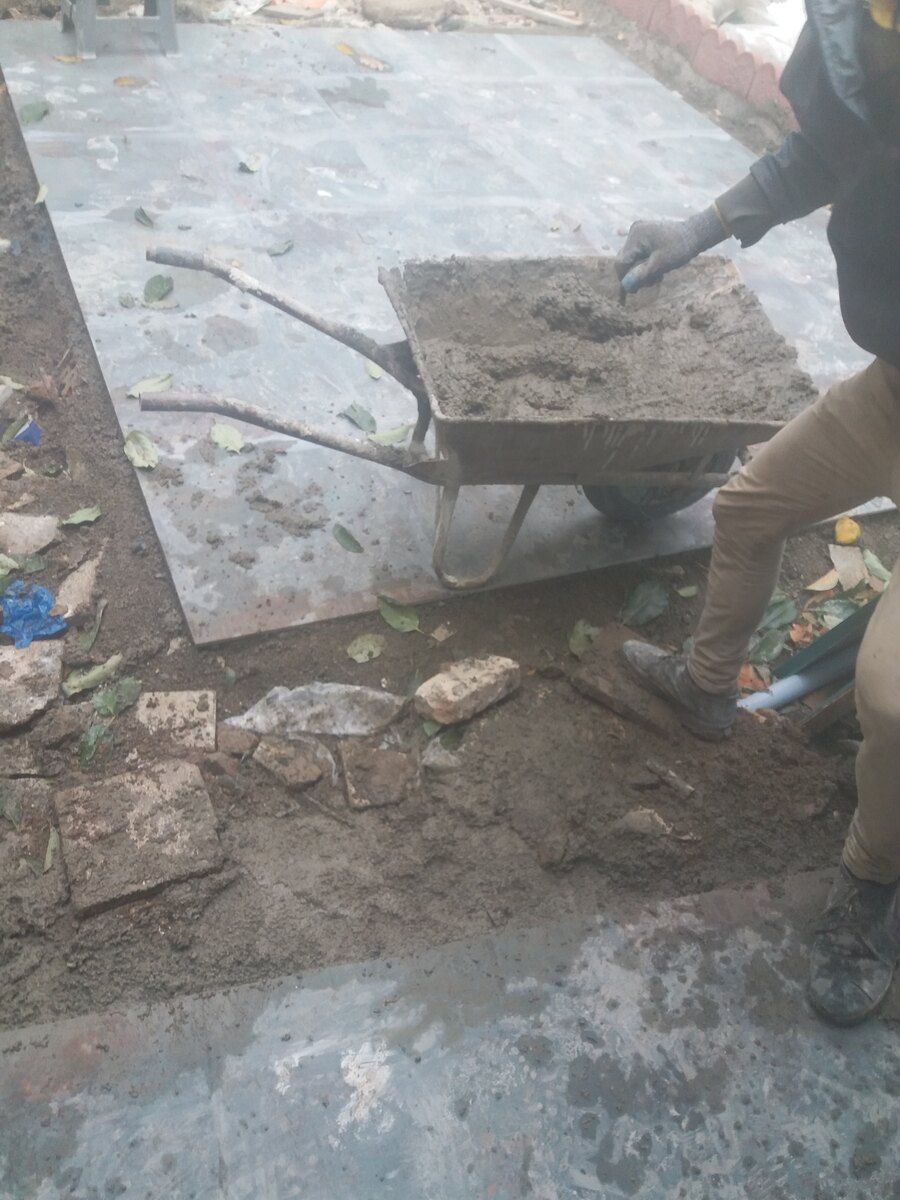 مرتضی شجاعی