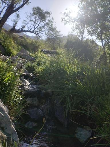 منطقه اوسون