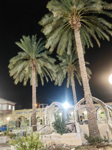مدرسه علمیه امام علی بن ابیطالب علیه السلام لارستان