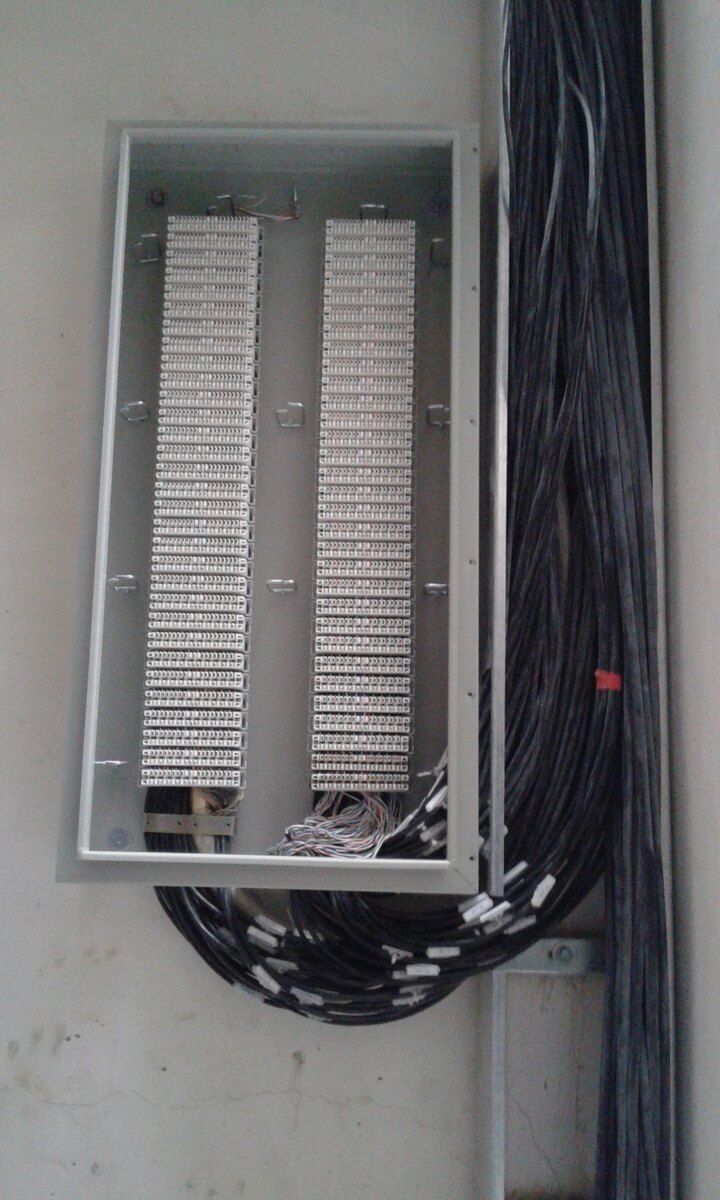 روح الله علی قاضی