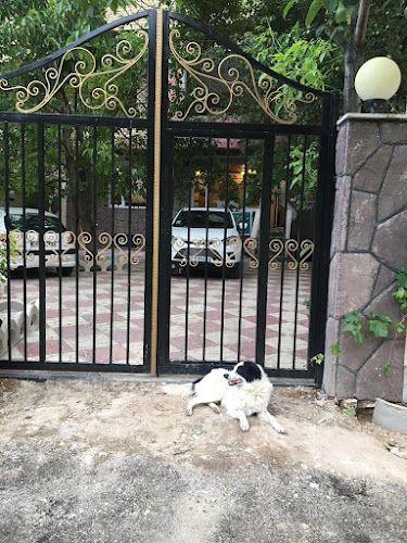 ویلا اجاره‌ایی روزانه