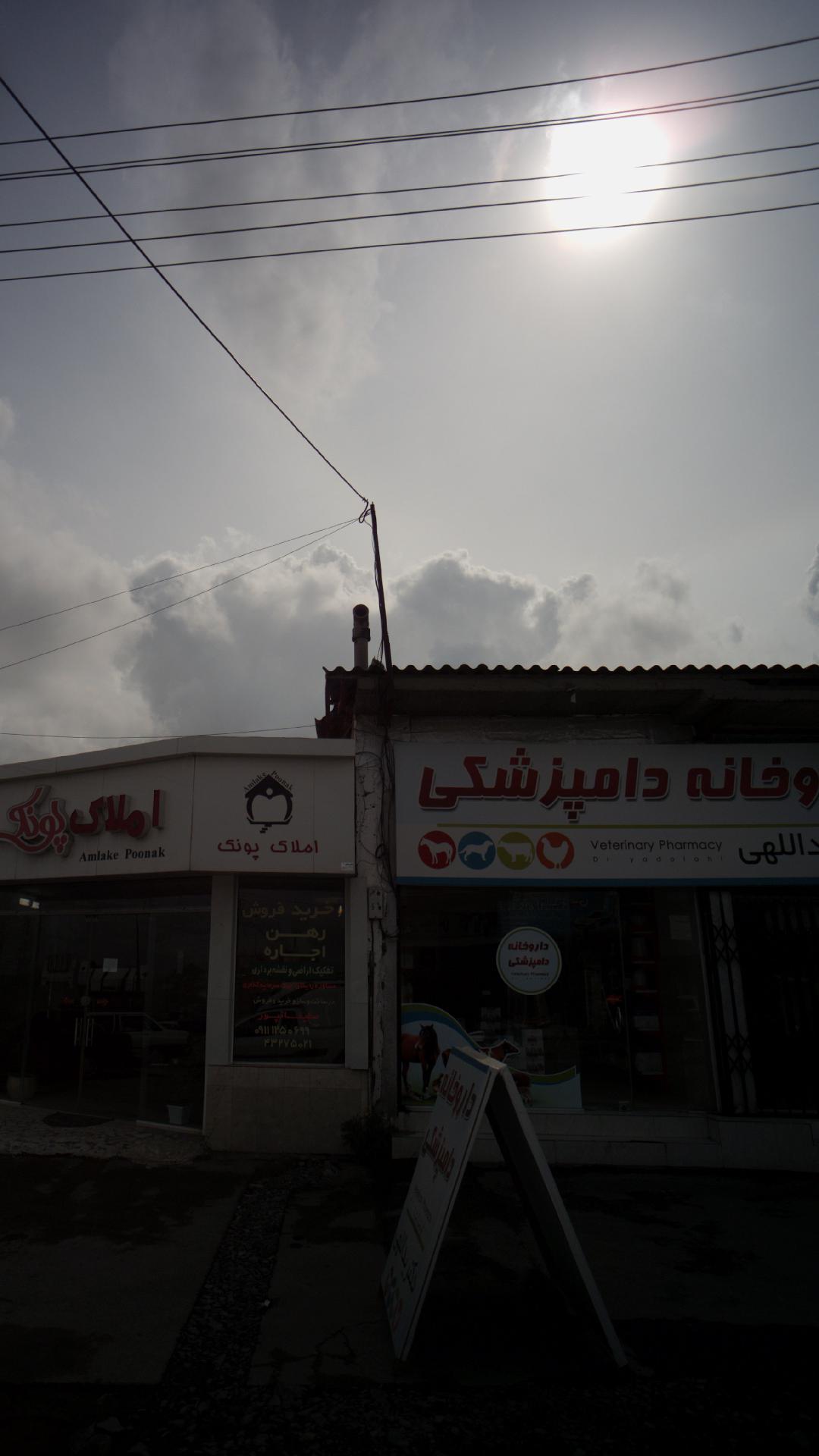 داروخانه دامپزشکی