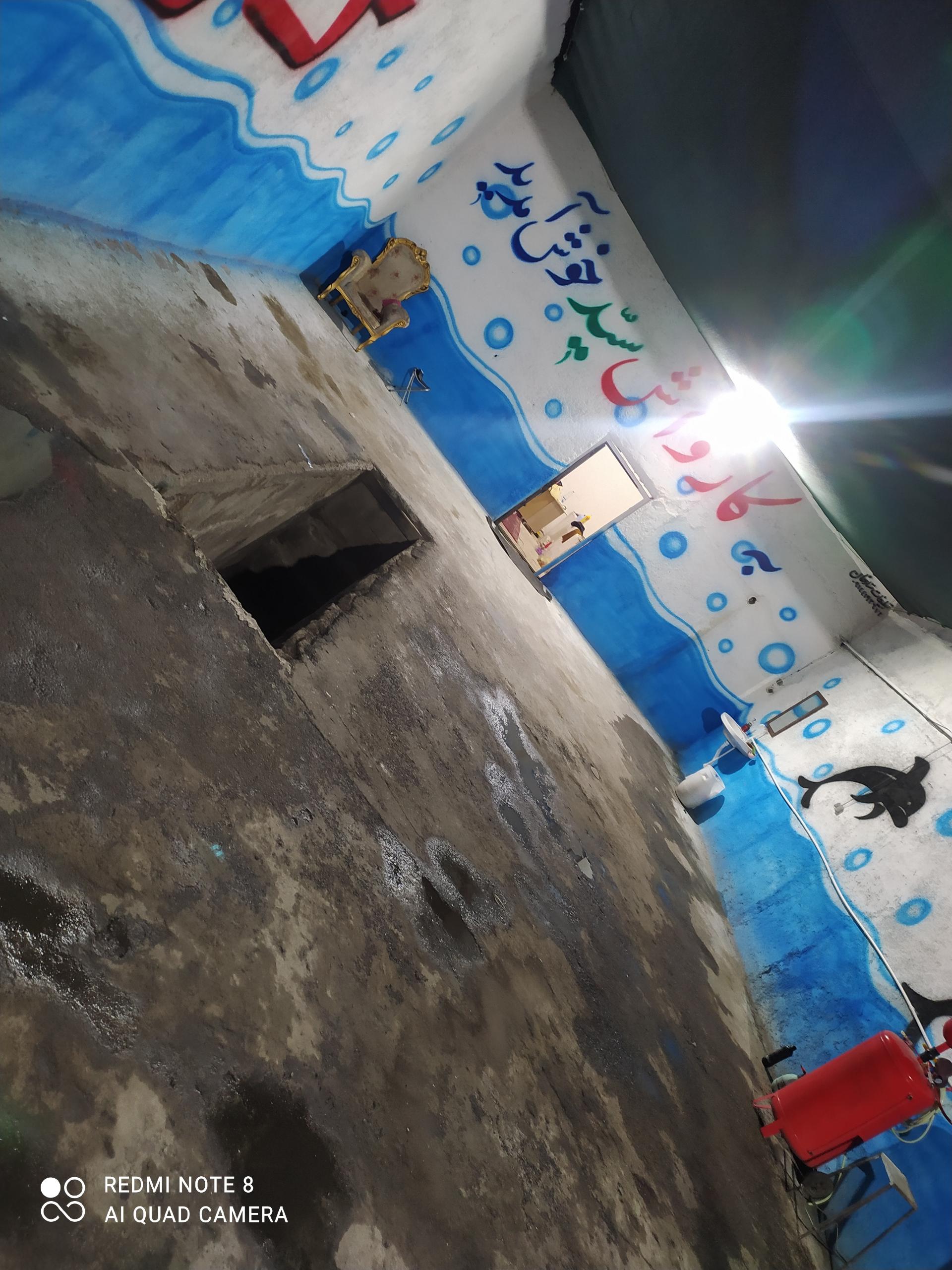 کارواش نامدار