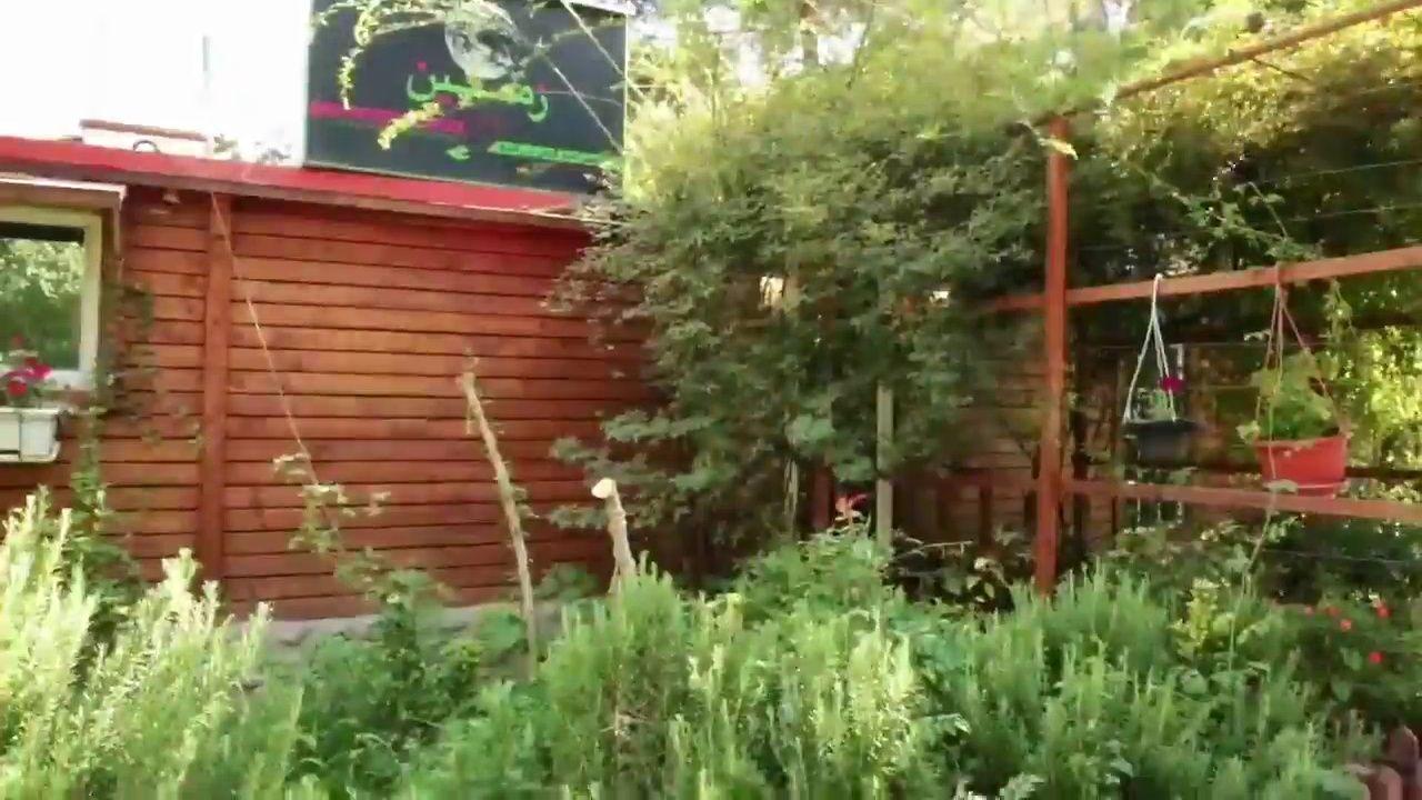 رستوران گیاهی زمین