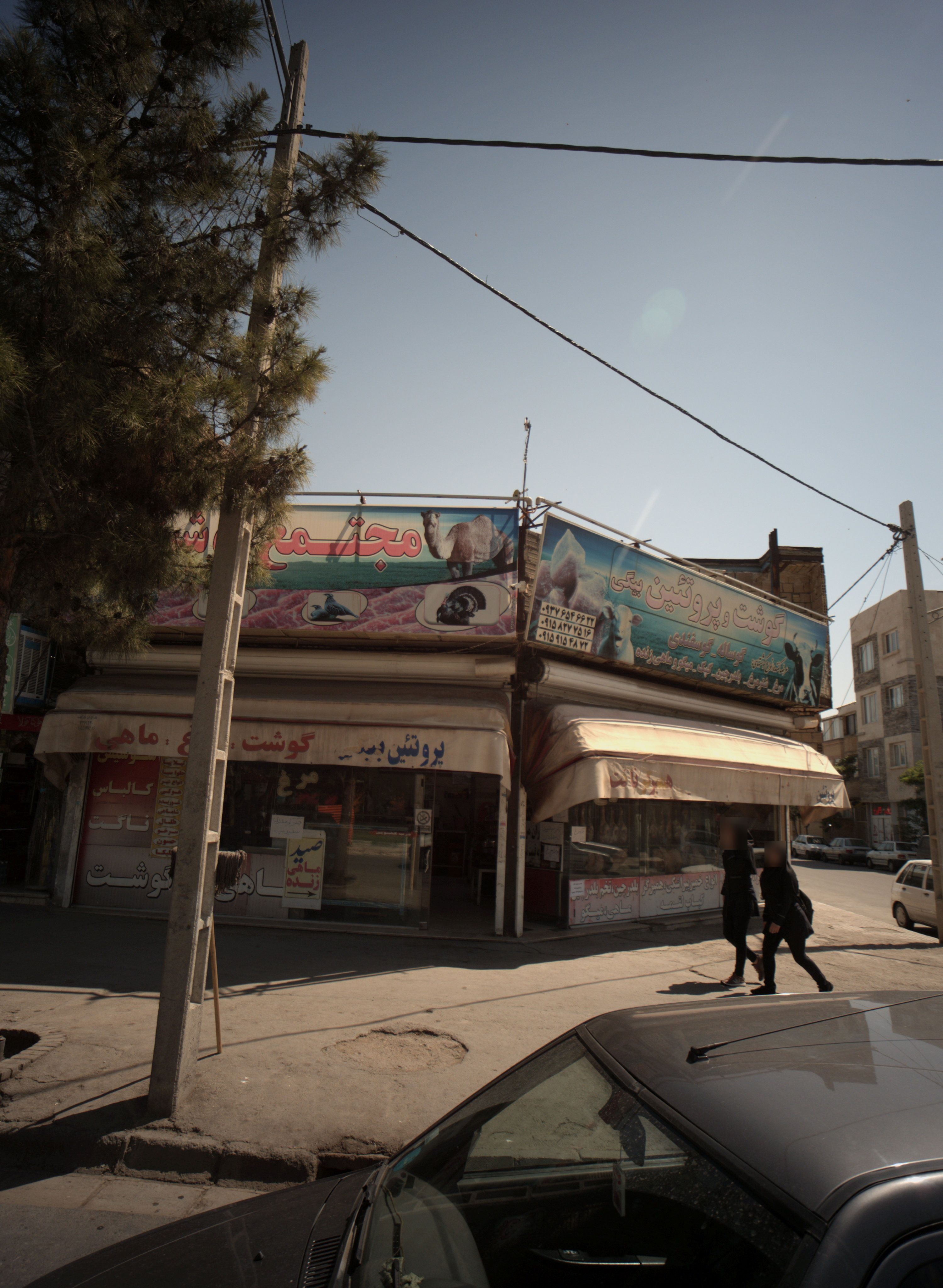 گوشت و پروتئین بیگی