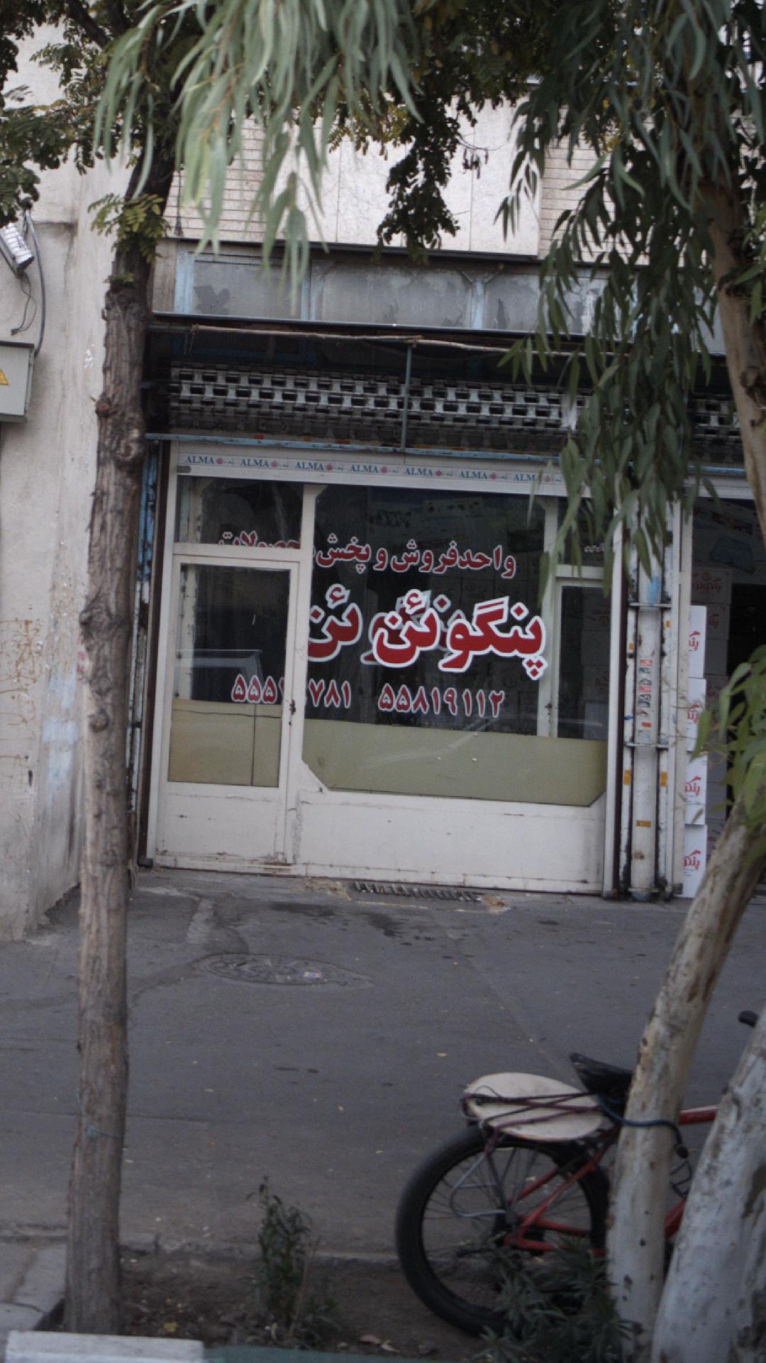 پنگوئن