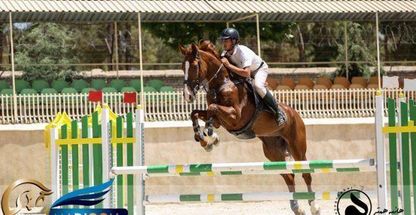 مجموعه سوارکاری قصر فیروزه شهدا