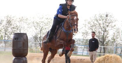 باشگاه سوارکاری دماوند اهواز