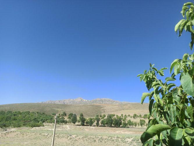 اقامتگاه نسیم تالاب