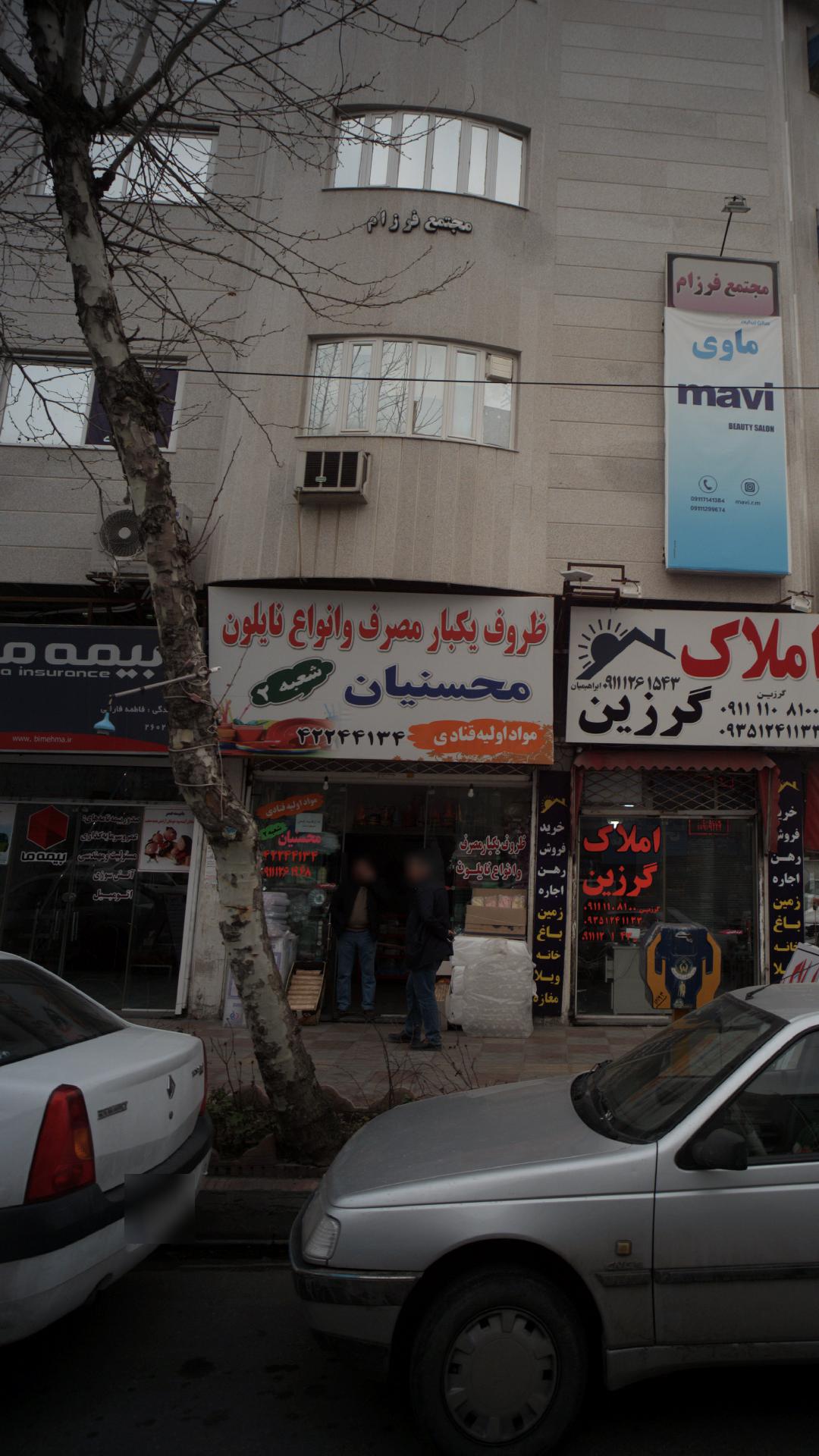 محسنیان