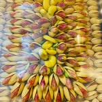 خشکبار امیر رضا