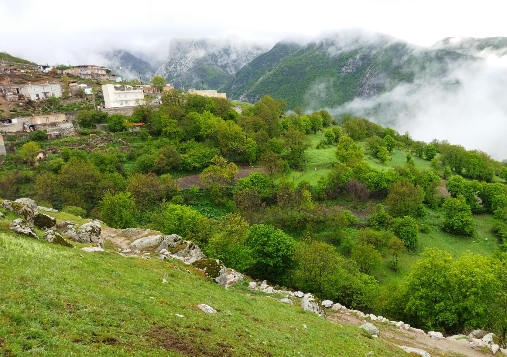 سوئیت قنبری