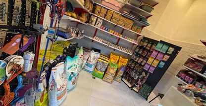 پت شاپ بلوبری