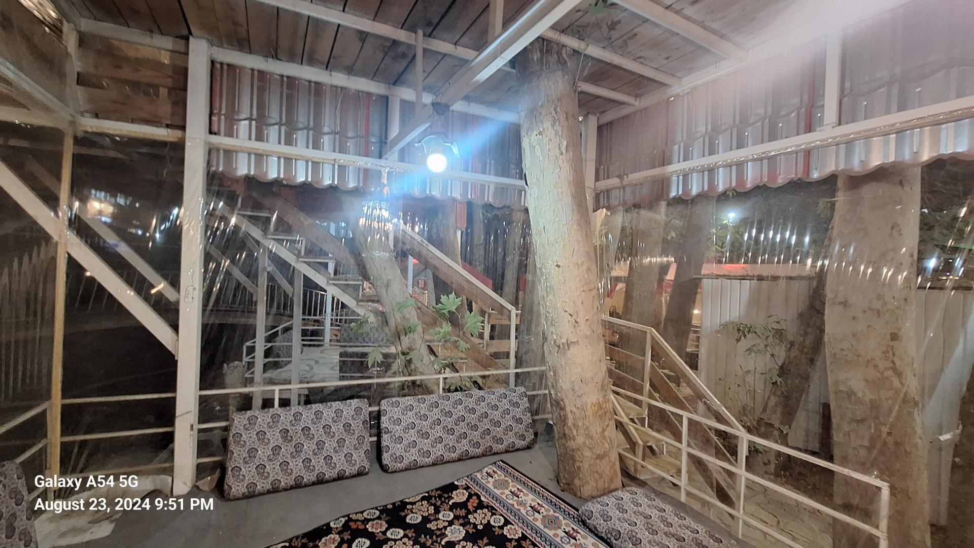 باغ پونک