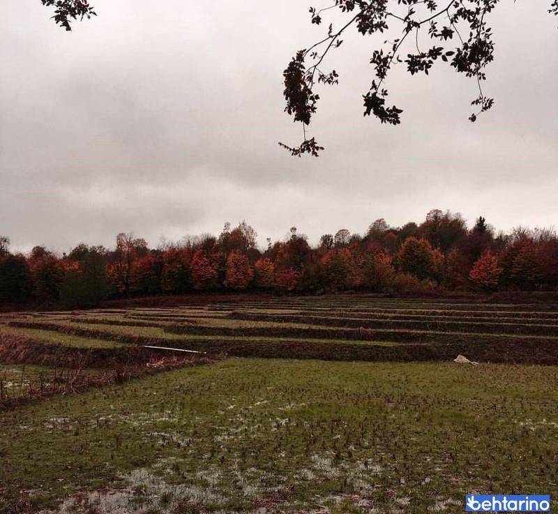 روستای اسکولک
