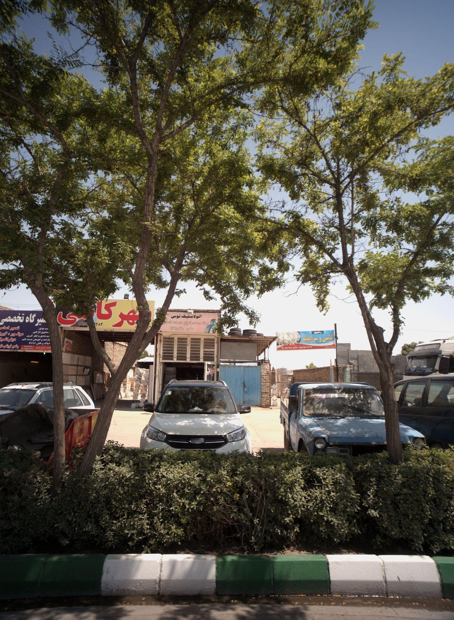 اتولاستیک توس