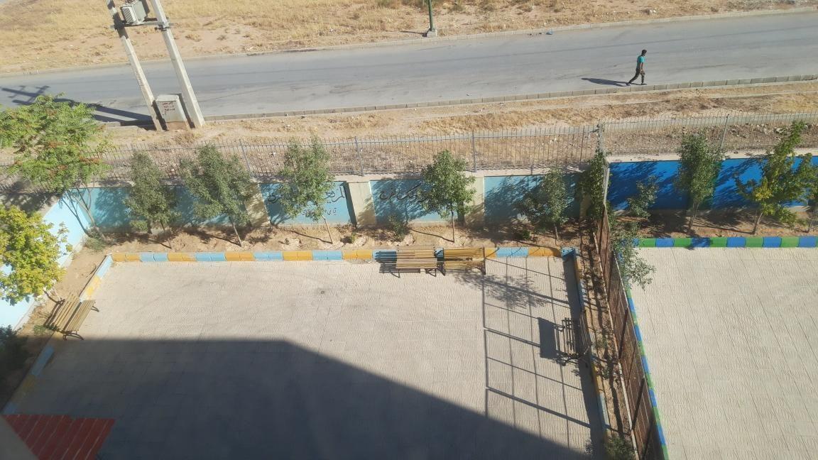 مجتمع زیتون