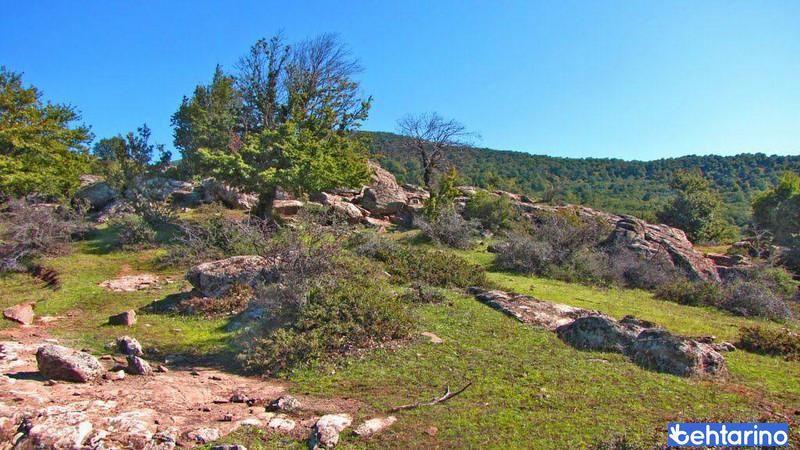 روستای هرزویل