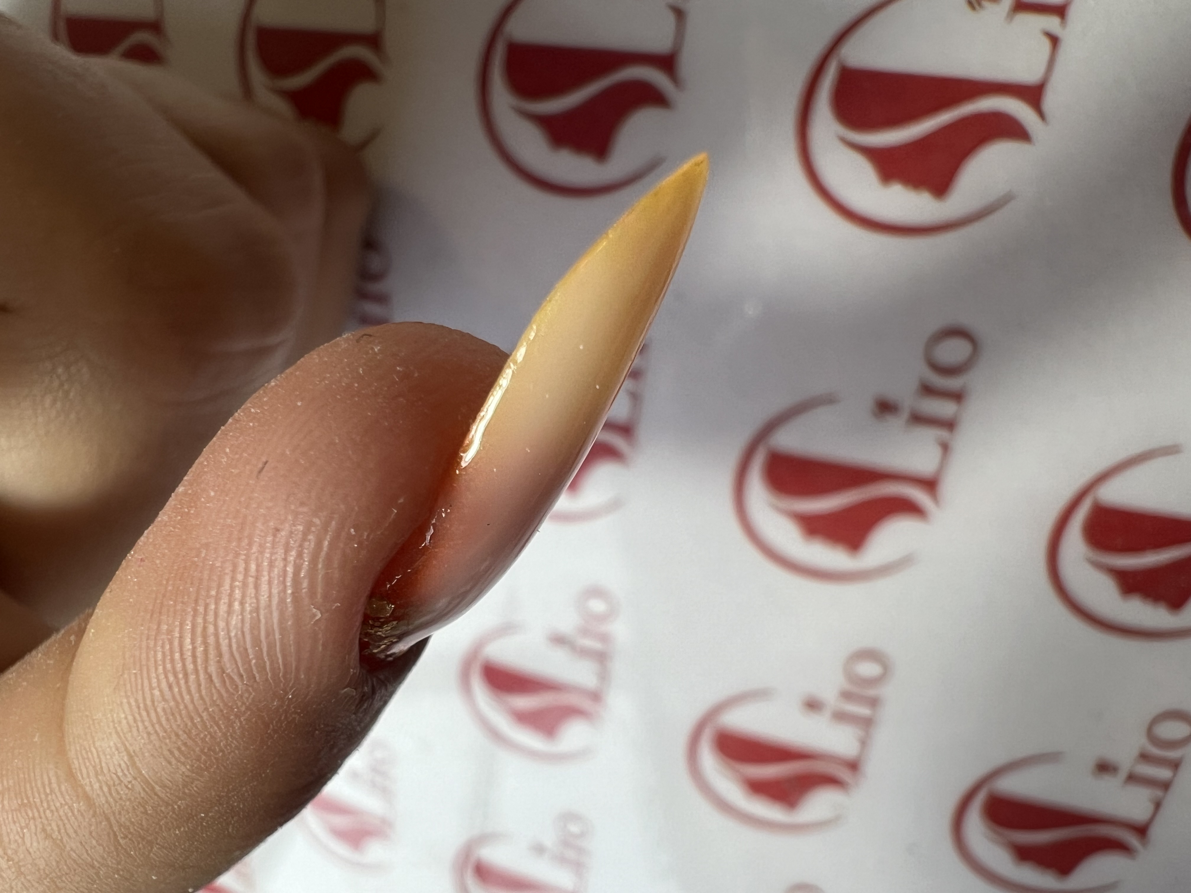 سالن تخصصی کاشت ناخن لیرو