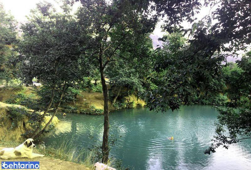 روستای چلی علیا