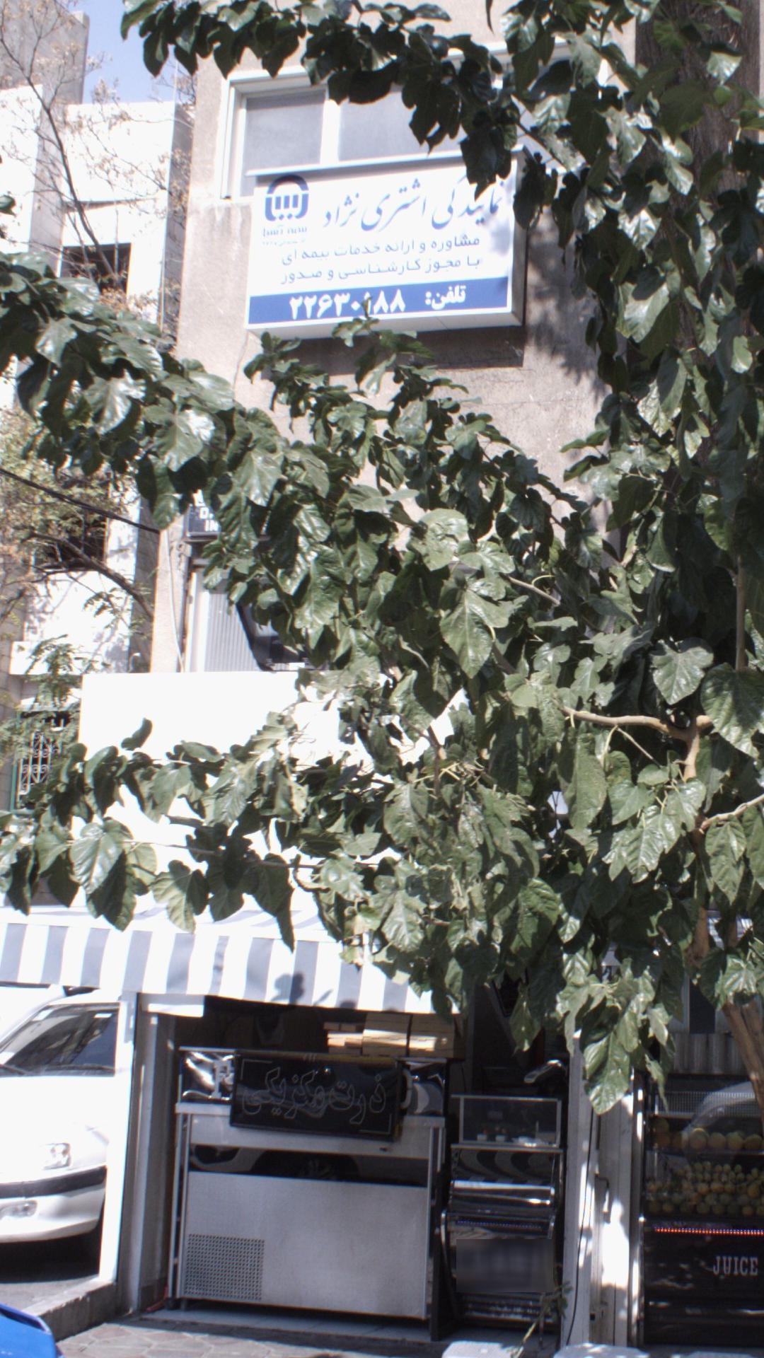 بیمه آسیا کد 0991 