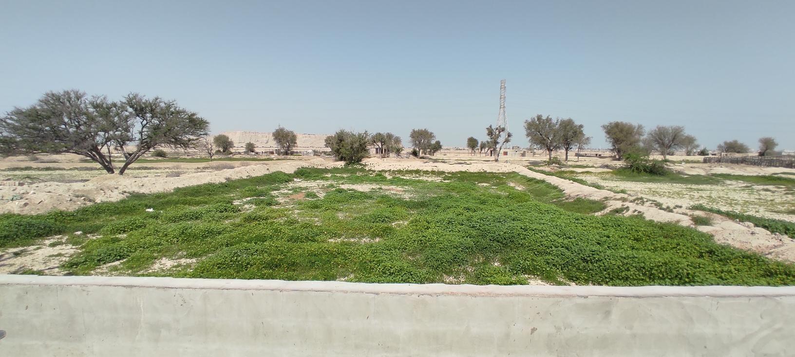 بناغا کوچک