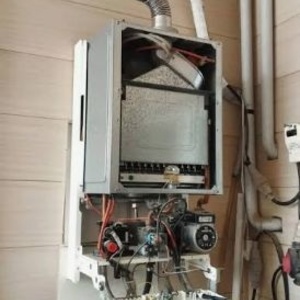 احمدرضا شکوری هوجقان