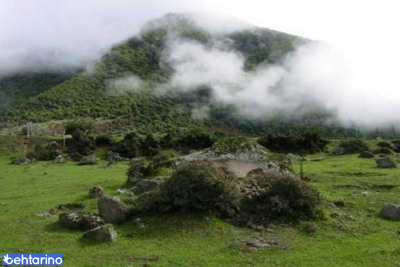 چشمه آب معدنی داماش