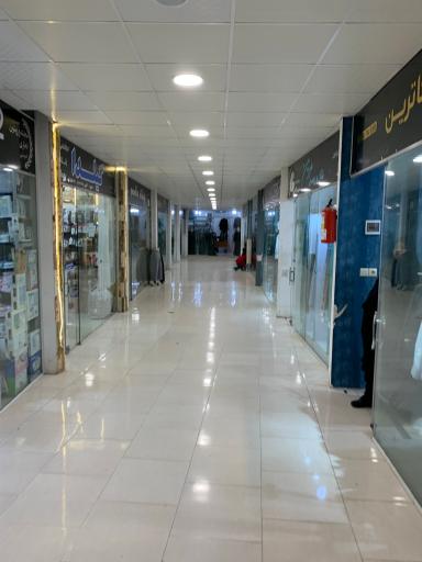 پاساژزیتون