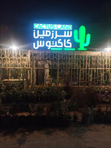 سرزمین کاکتوس