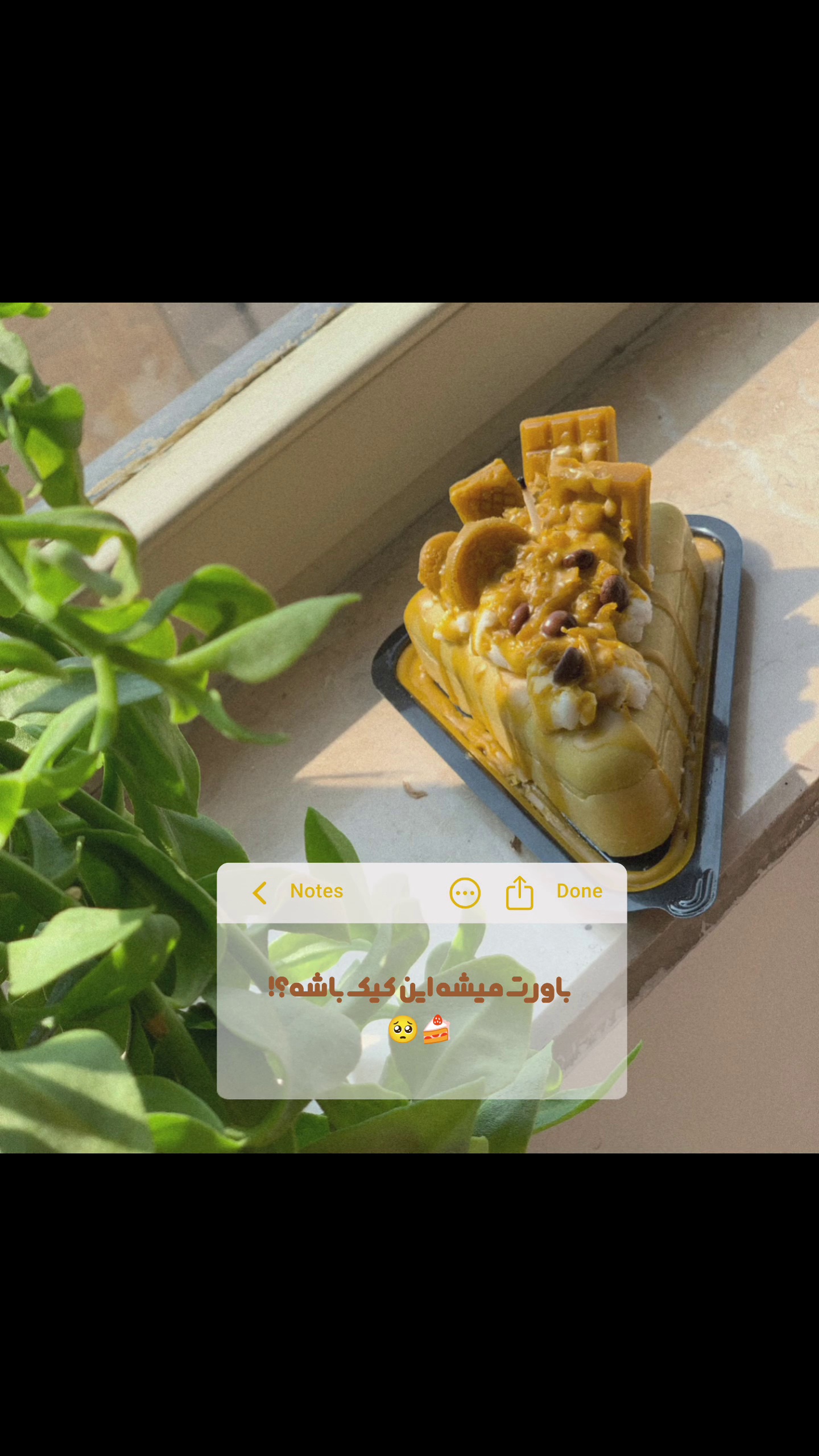 سنگ نور کیمیا