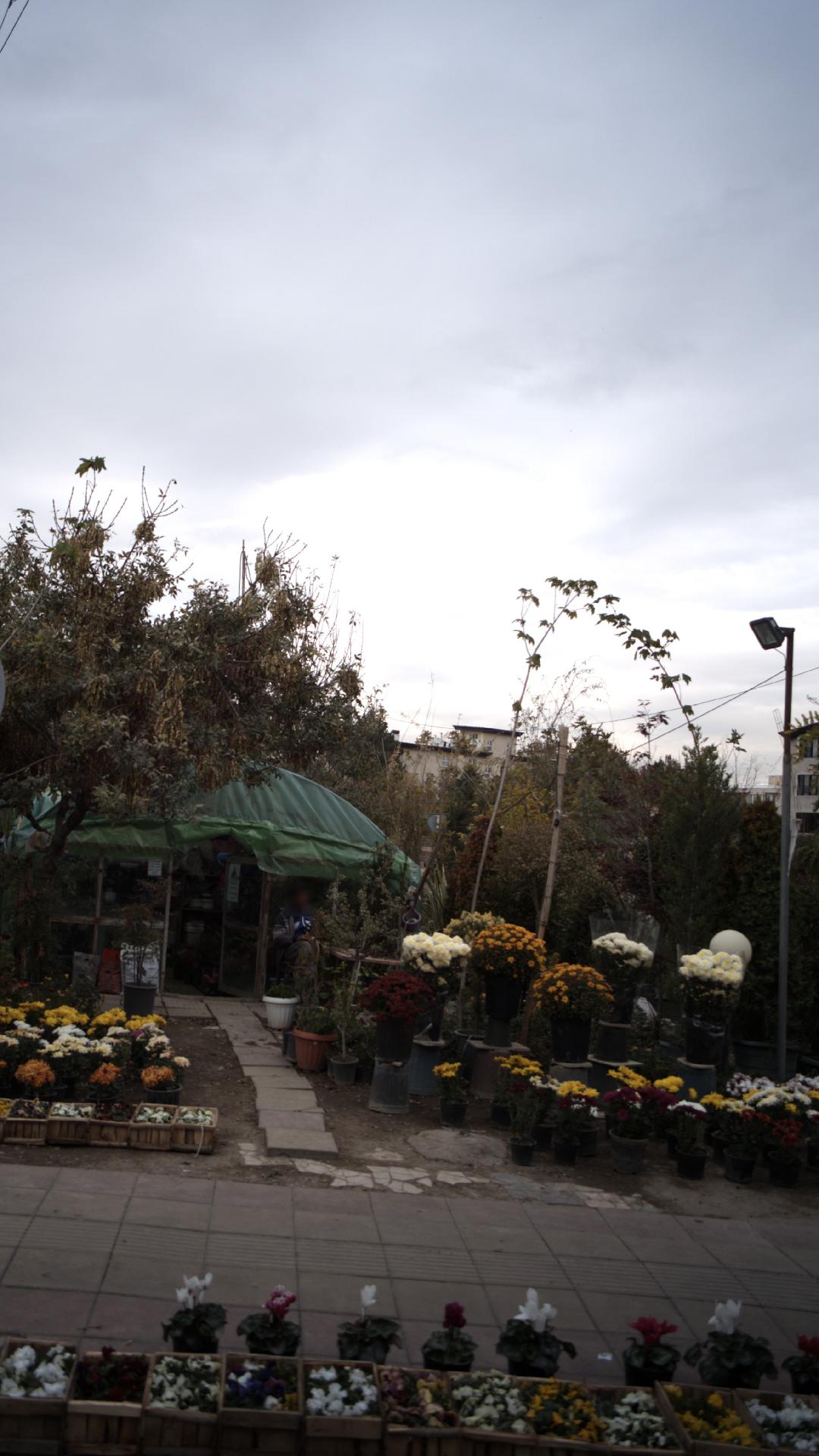 گلخانه