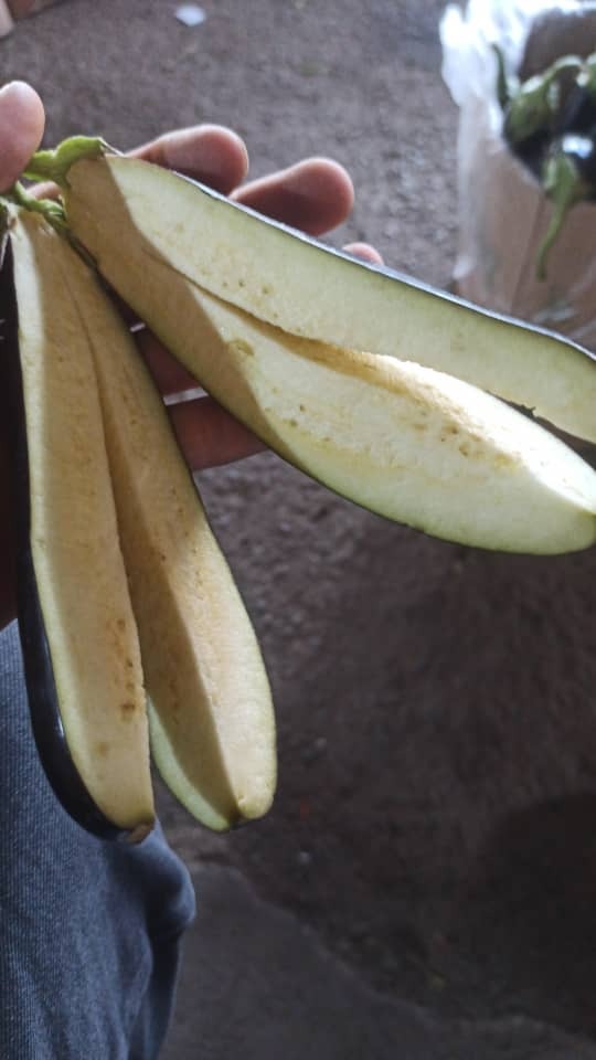 سبزیجات آماده خانگی  دهکده سبزی