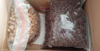 ارزانکده خشکبار شیراز