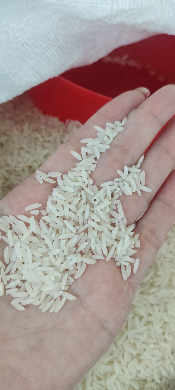 برنج میرآقا