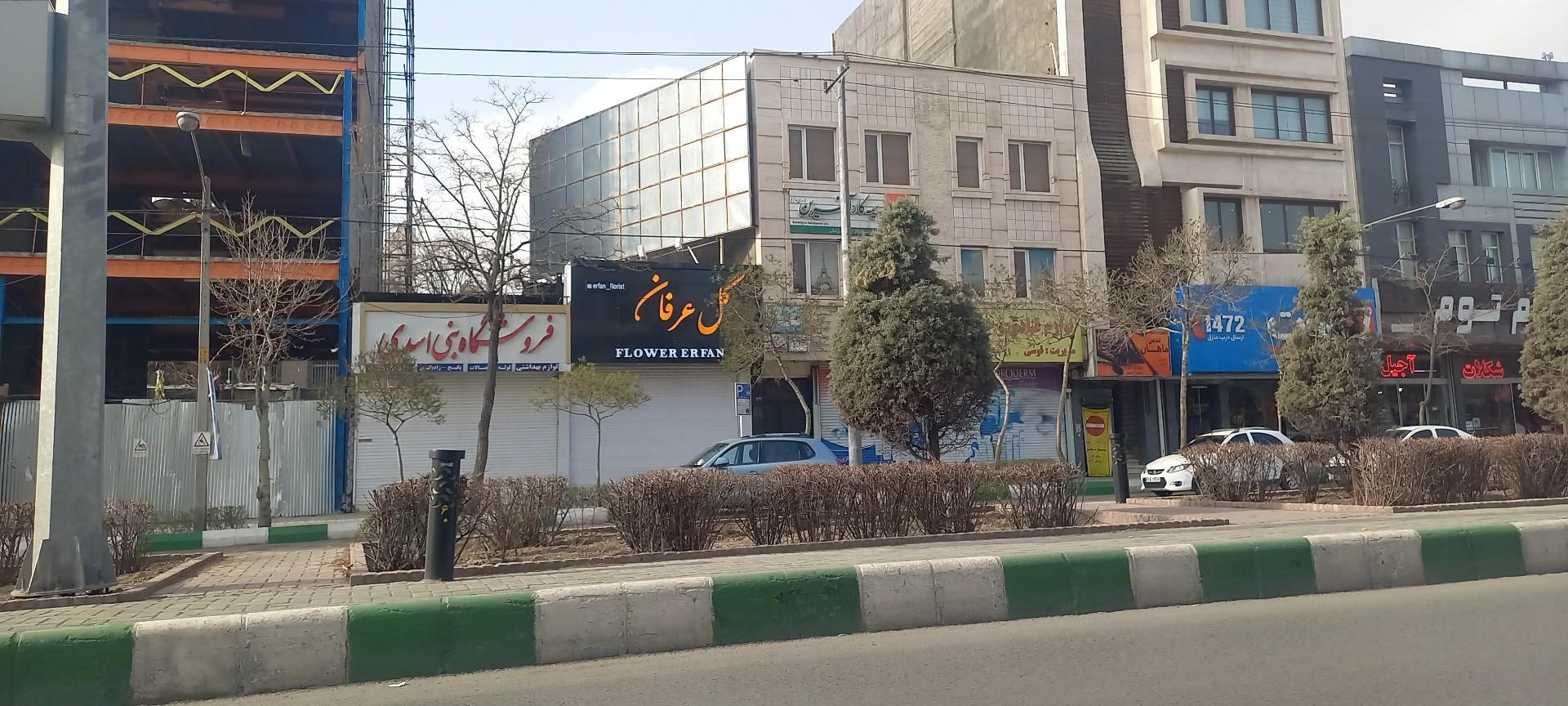 گل پسر