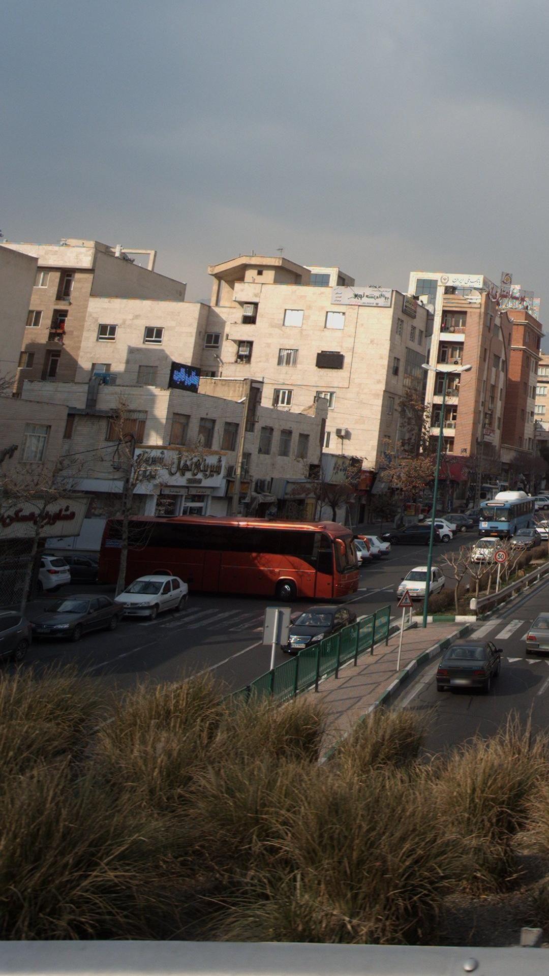 شیرینی نهال