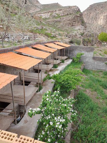 باغ و مهمانپذیری براتیان