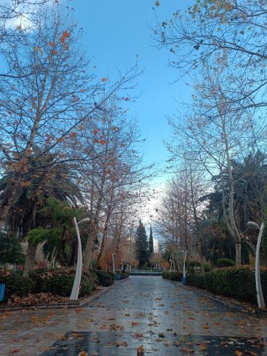 بوستان زنده یاد دامادی